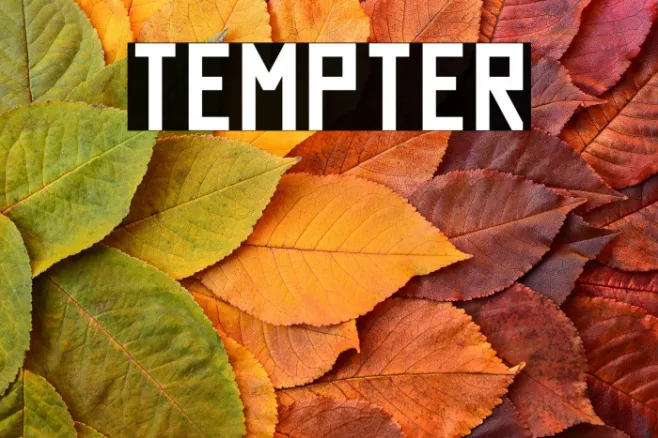 Tempter Example 1