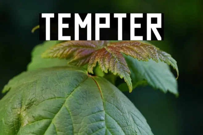 Tempter Example 2