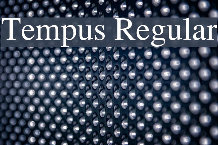 Tempus Regular Polices examples