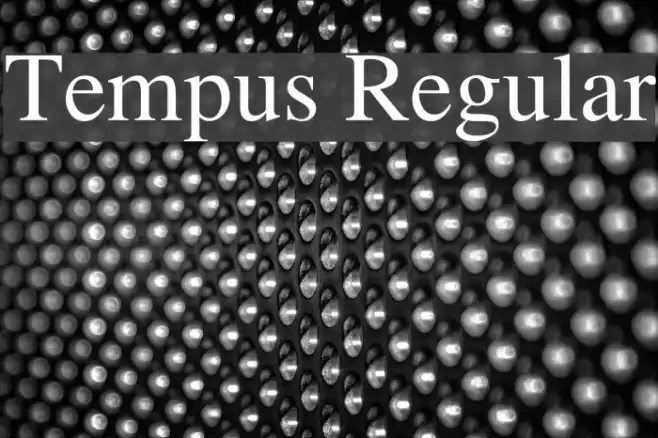 Tempus Regular Font examples