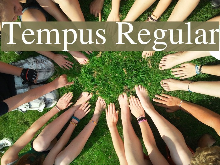 Tempus Regular Polices examples