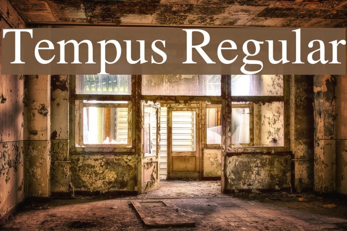 Tempus Regular Polices examples