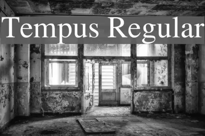 Tempus Regular Font examples