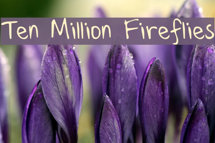 Ten Million Fireflies Font examples