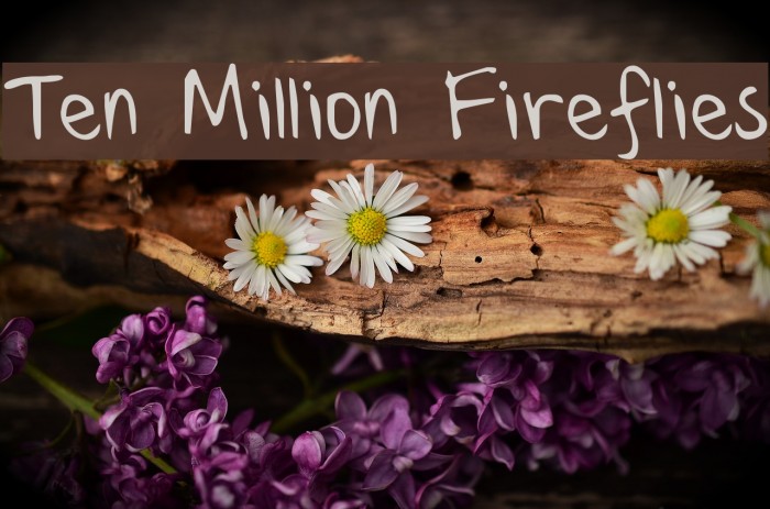 Ten Million Fireflies Font examples