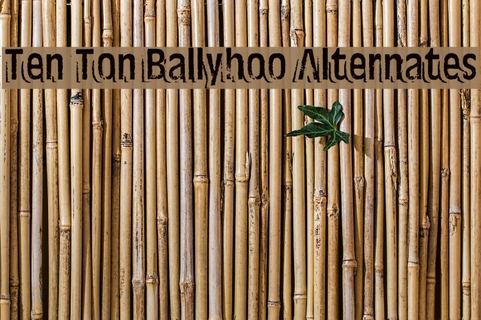 Ten Ton Ballyhoo Alternates Font examples