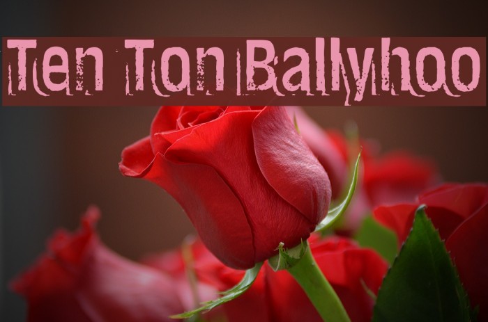 Ten Ton Ballyhoo Шрифта examples