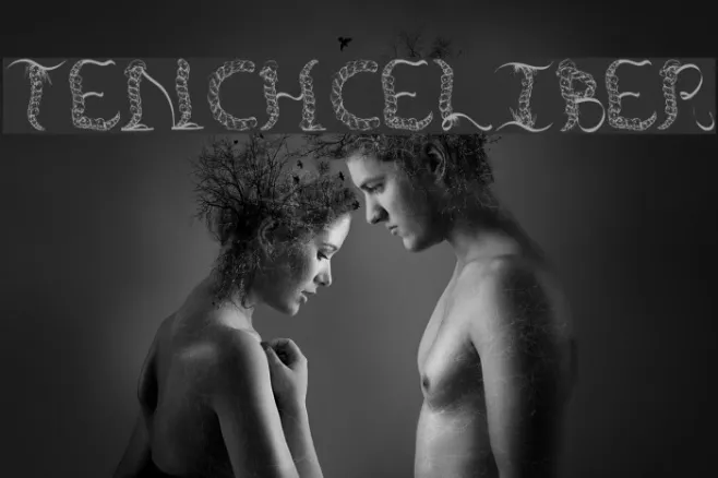 TenCHCeliber Example 1