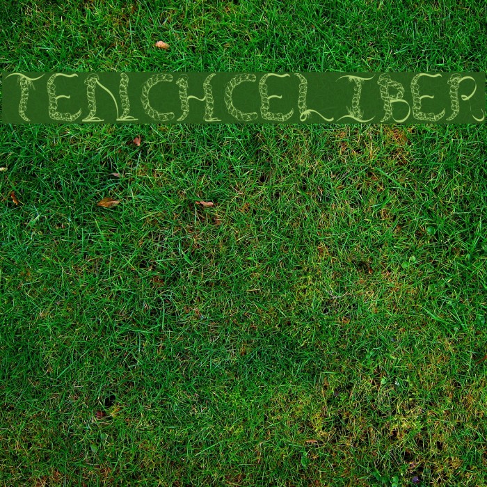 TenCHCeliber Font examples