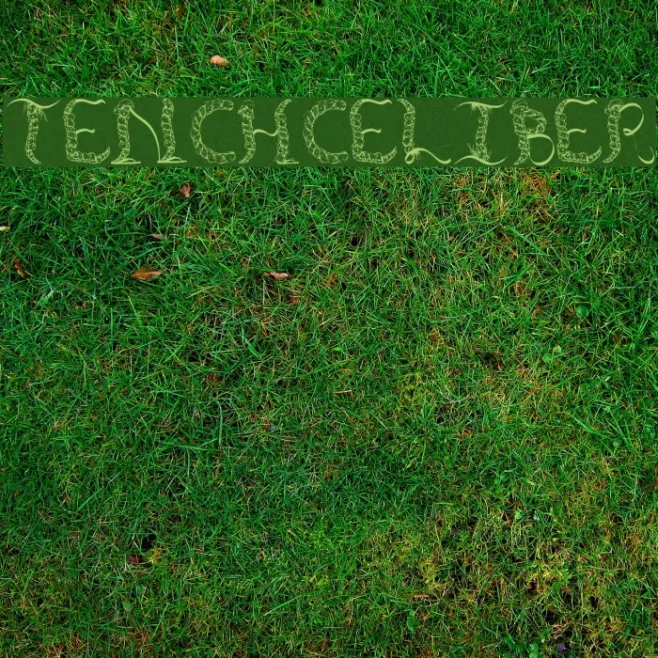TenCHCeliber Example 3