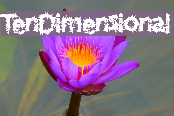 TenDimensional Font examples