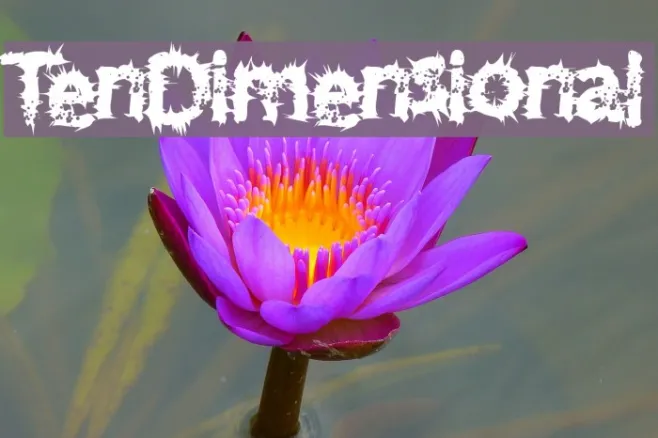 TenDimensional Example 1