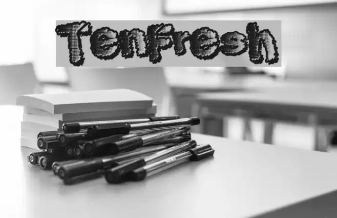 TenFresh Font examples
