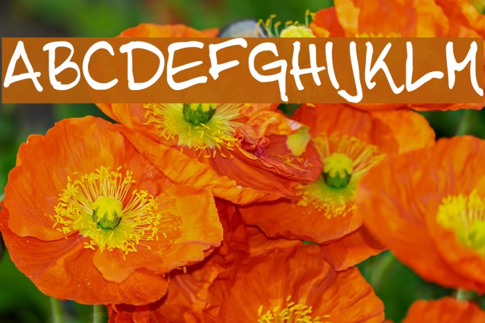 Tena Font examples