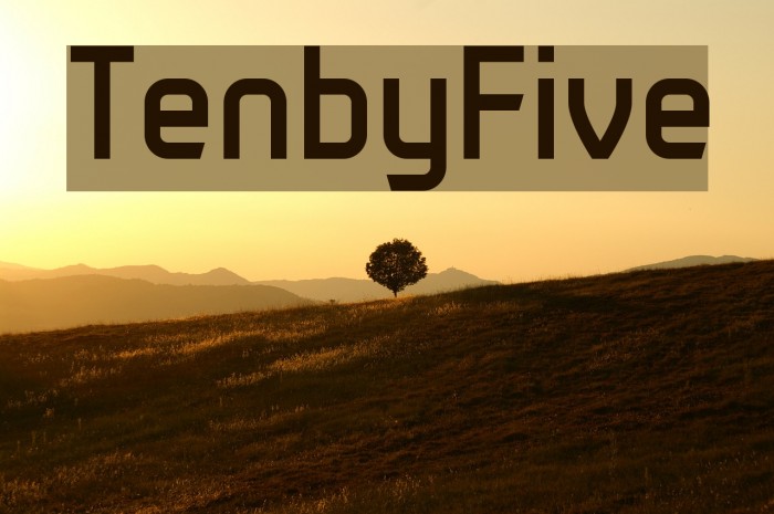 TenbyFive Example 3
