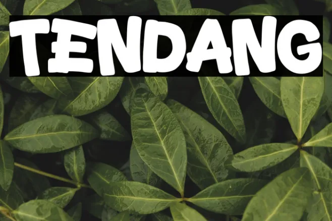 Tendang Example 1