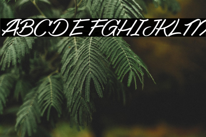 Tendencies Example 3