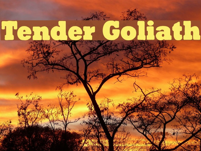 Tender Goliath Example 1