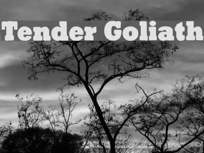 Tender Goliath Font examples