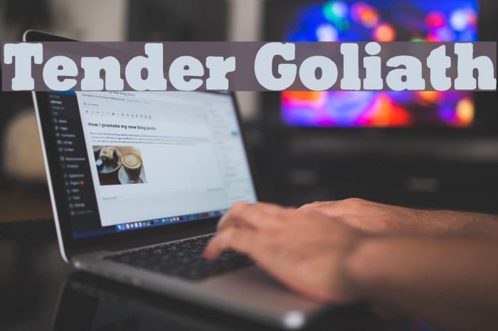 Tender Goliath Example 2