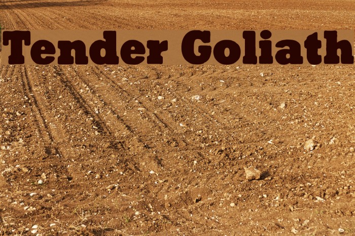 Tender Goliath Example 3