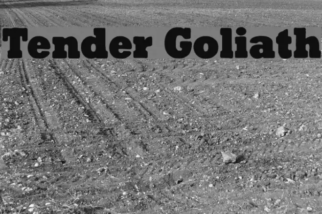 Tender Goliath Font examples