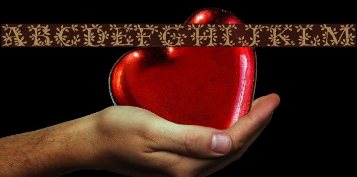 Tenderleaf Regular Example 2