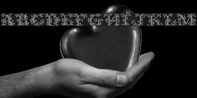 Tenderleaf Regular Font examples