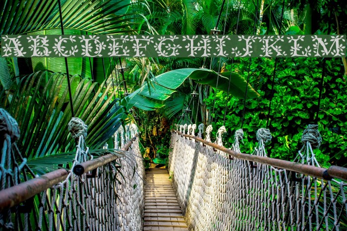 Tenderleaf Regular Example 3