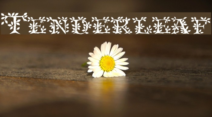 Tenderleaf Шрифта examples