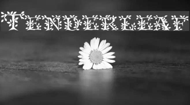 Tenderleaf Шрифта examples