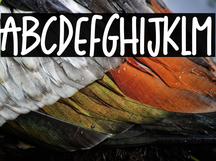 Tenderloin Chicken Example 1