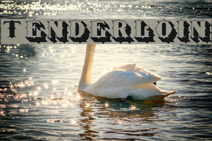 Tenderloin Example 2