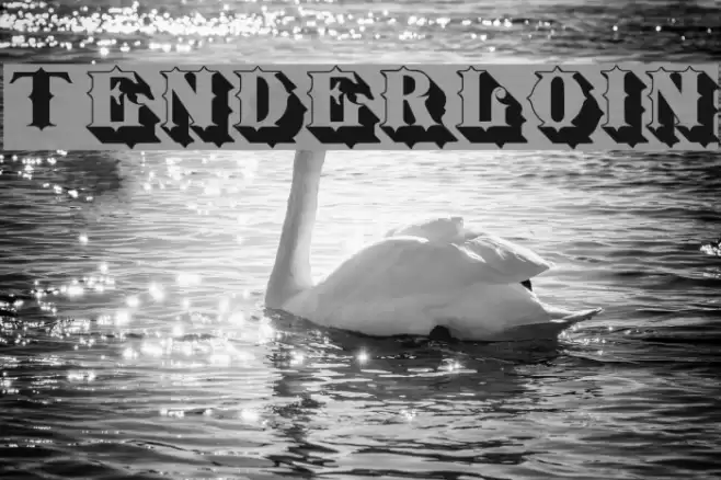 Tenderloin Font examples