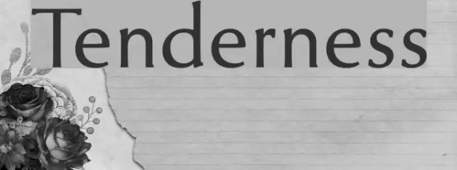 Tenderness Font examples