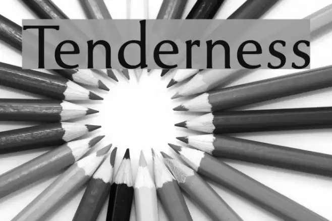 Tenderness Font examples