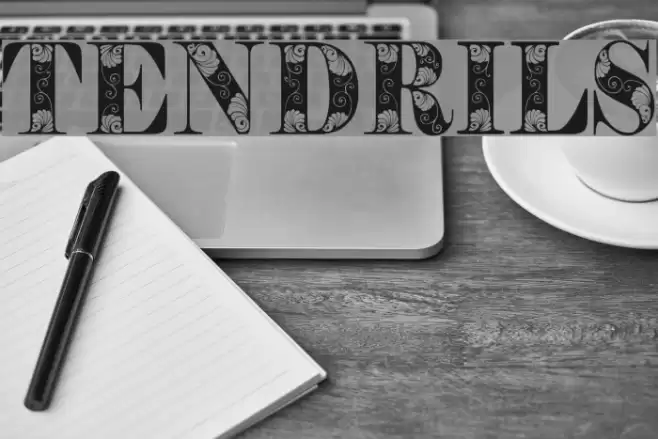 Tendrils Font examples