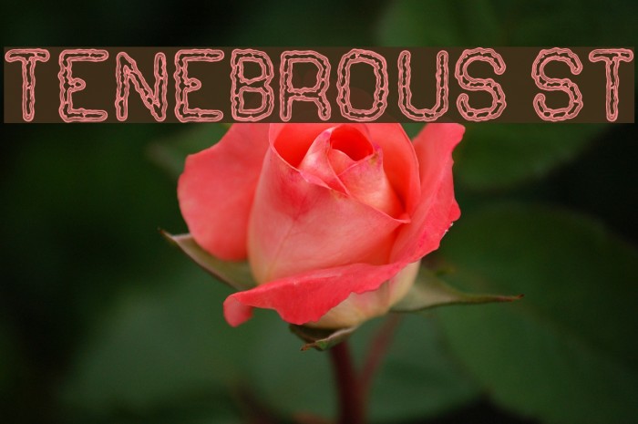 Tenebrous St Example 1