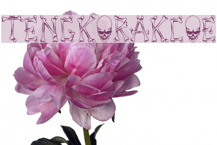 Tengkorak_COE Font examples