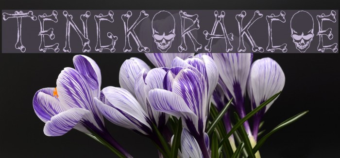 Tengkorak_COE Font examples