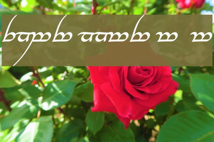 Tengwar Annatar Alt Bold Italic Font examples