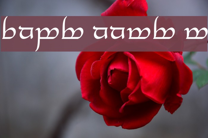Tengwar Annatar Alt Font examples