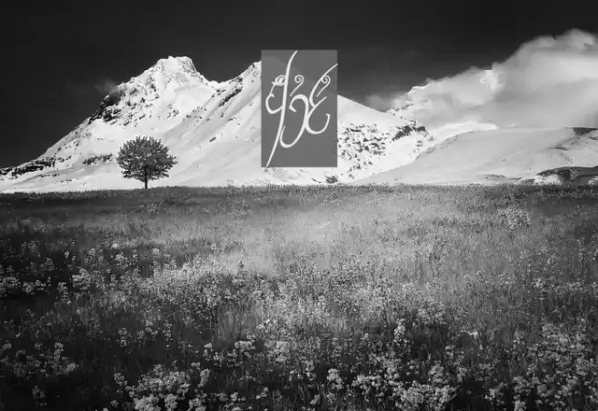 Tengwar Cursive Font examples