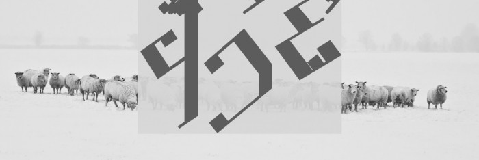 Tengwar Noldor Font examples