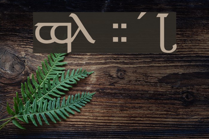 Tengwar ver. # 4 Font examples