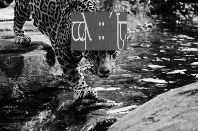 Tengwar ver. # 5 Font examples