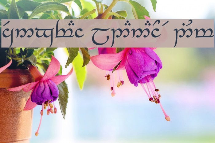 Tengwar_Eldanaro Medium Example 2