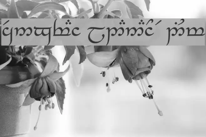 Tengwar_Eldanaro Medium Font examples