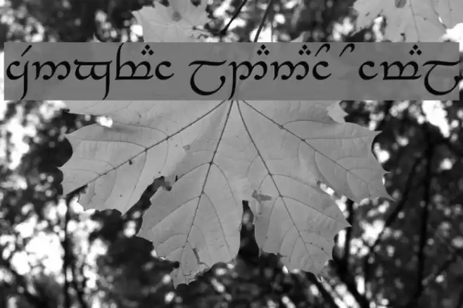 Tengwar_Eldanaro Normal Font examples