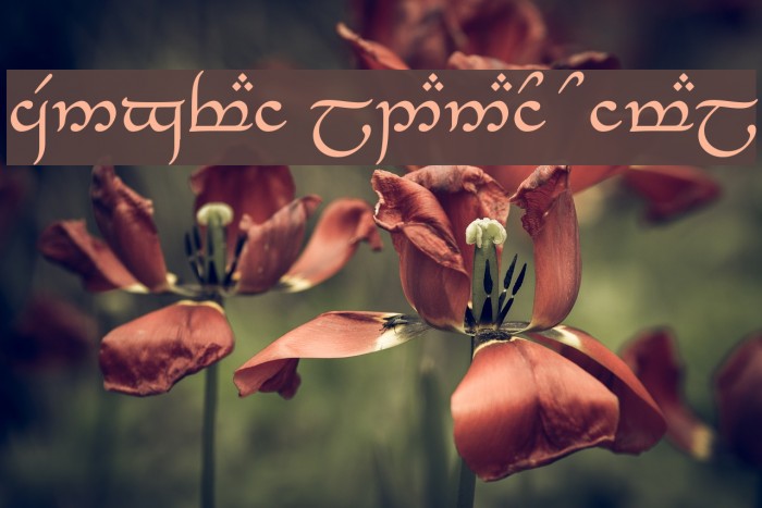 Tengwar_Eldanaro Normal Example 3